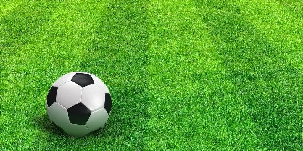 体育爱好者实时关注赛事场景